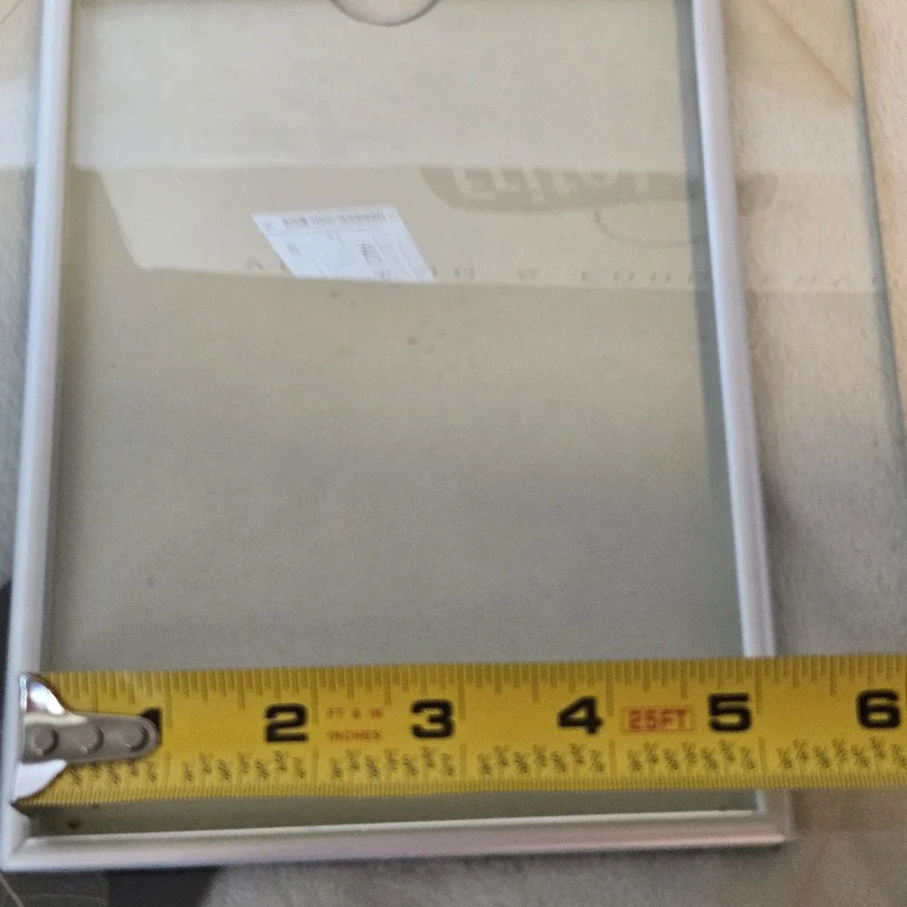 Ganz Glass Picture Frame 5x7 Real Pressed Leaf Botanical Silver EJ9883
